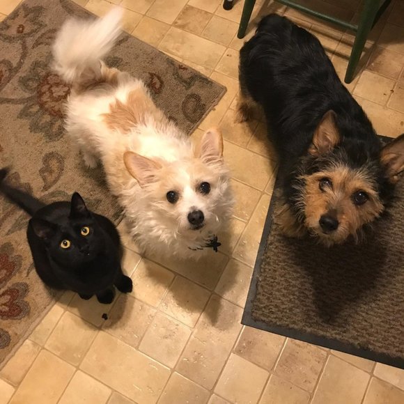 Meet your Posher, Rita - Picture 7 of 7